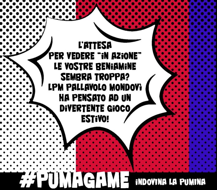 Logo Puma Game