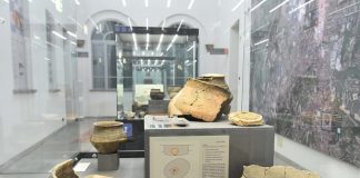 museo alba