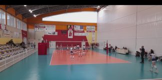 volleybusca