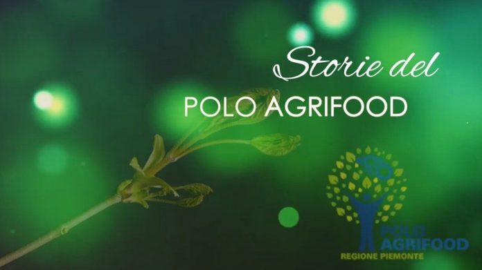 Polo Agrifood